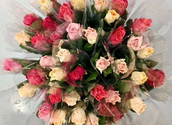 Réassort de roses pour commerces caennais