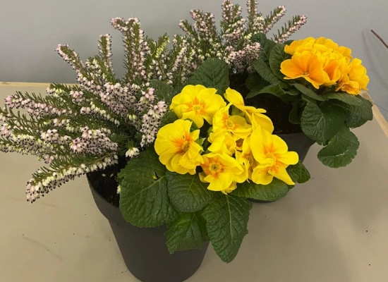 Dépôt de fleurs tombales Normandie