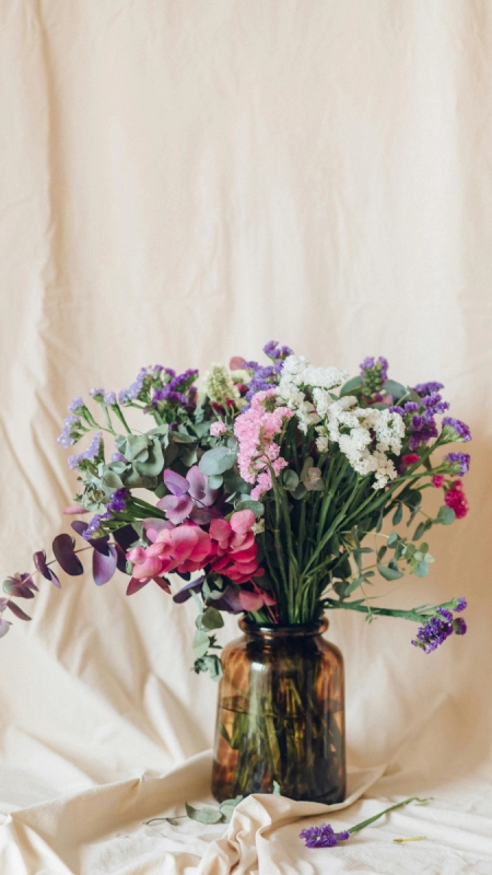 Fleurs en Basse-Normandie